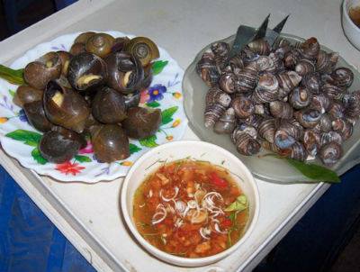 Ốc đồng